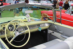 %_tempFileNameIMG_0229%