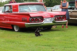 %_tempFileNameIMG_0575%