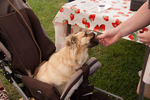 %_tempFileNameIMG_3479%