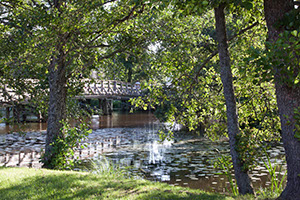 %_tempFileNameIMG_3554%