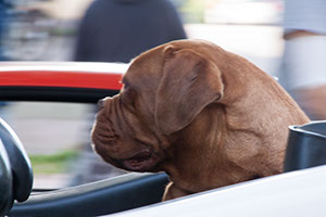 %_tempFileNameIMG_3601%