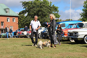 %_tempFileNameIMG_0081%