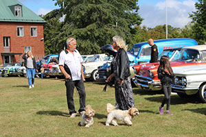 %_tempFileNameIMG_0082%