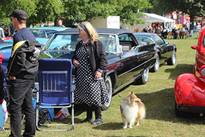 %_tempFileNameIMG_0129%