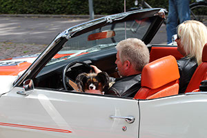 %_tempFileNameIMG_1201%