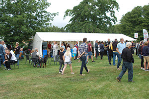 %_tempFileNameDSC_8000%