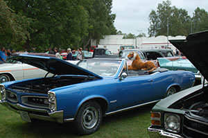 %_tempFileNameDSC_8061%