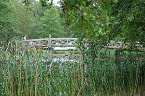 %_tempFileNameDSC_8062%