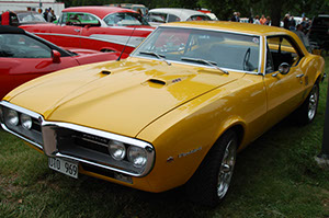 %_tempFileNameDSC_8064%