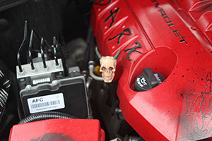 %_tempFileNameIMG_5217%