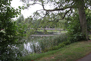 %_tempFileNameIMG_5669%