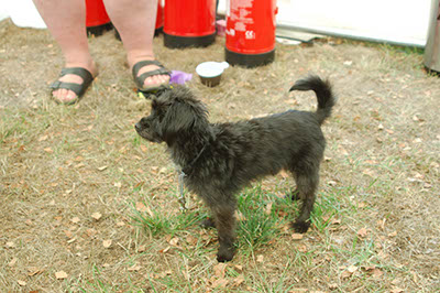 %_tempFileNameDSC_8726%