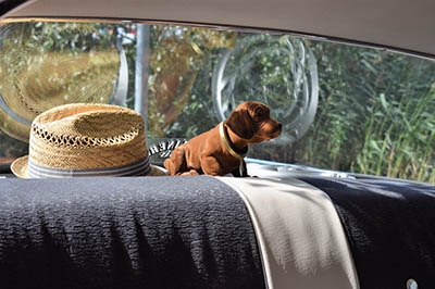 %_tempFileNameDSC_0124%