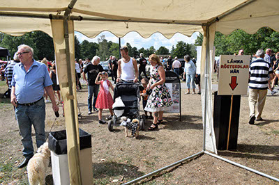 %_tempFileNameDSC_0165%