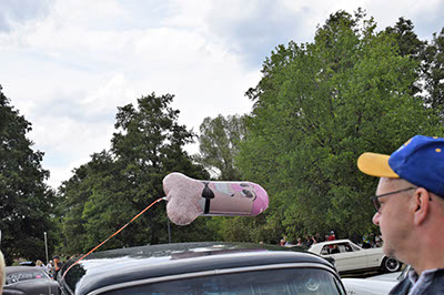 %_tempFileNameDSC_0333%