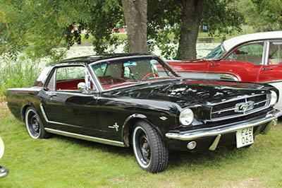 %_tempFileNameIMG_8309%